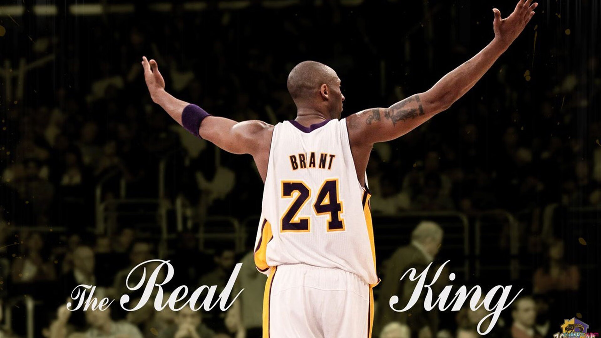 爱游戏APP-马丁内利，当不完美的完美，在总决赛之夜绽放