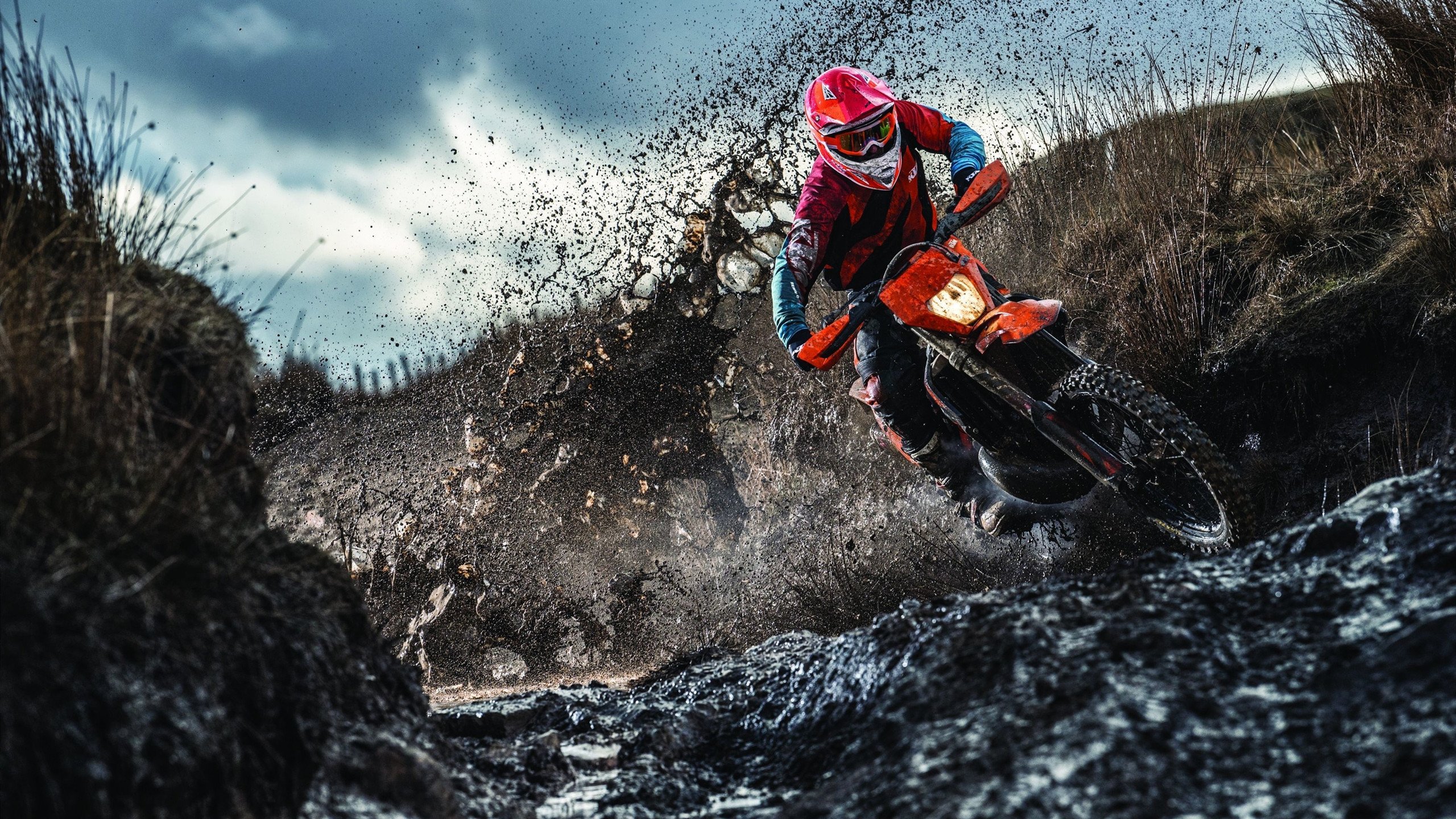 亚特兰大强行终结阿尔及利亚，当足球的黑马闯入NBA的战场